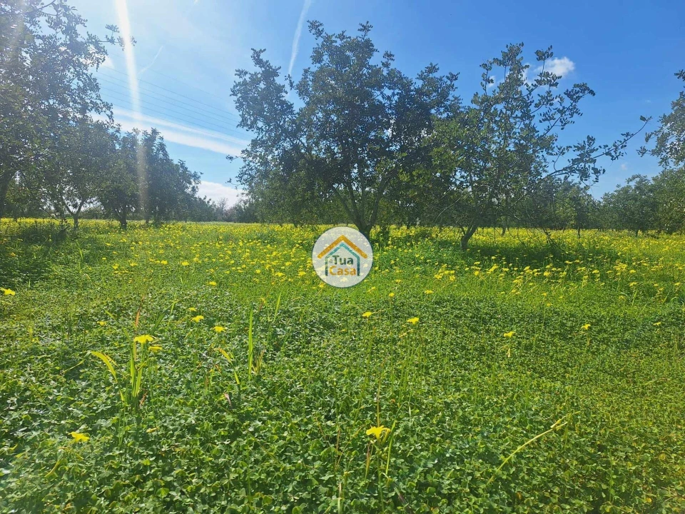 Terreno para Venda em Faro (Sé e São Pedro) Foto 13