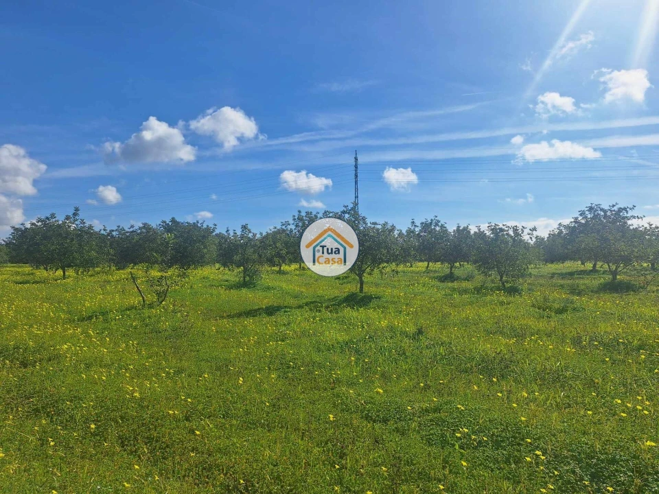 Terreno para Venda em Faro (Sé e São Pedro) Foto 17