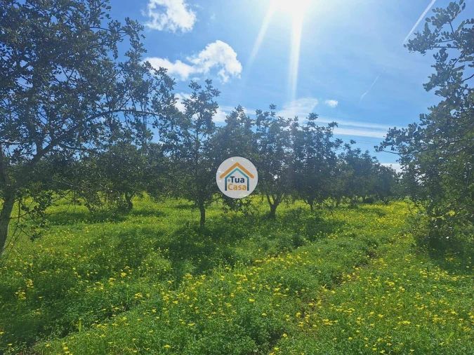 Terreno para Venda em Faro (Sé e São Pedro) Foto 6