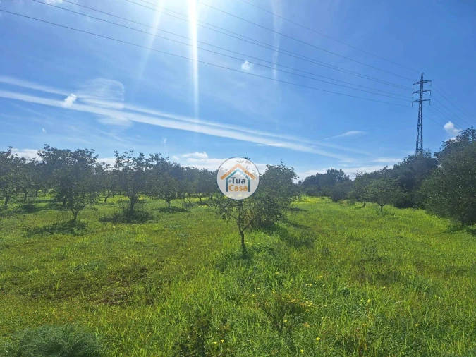 Terreno para Venda em Faro (Sé e São Pedro) Foto 5
