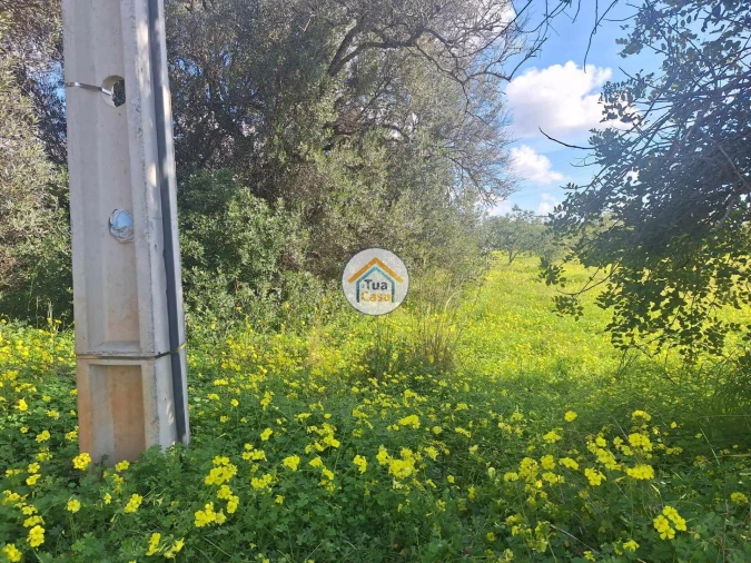 Terreno para Venda em Faro (Sé e São Pedro) Foto 3