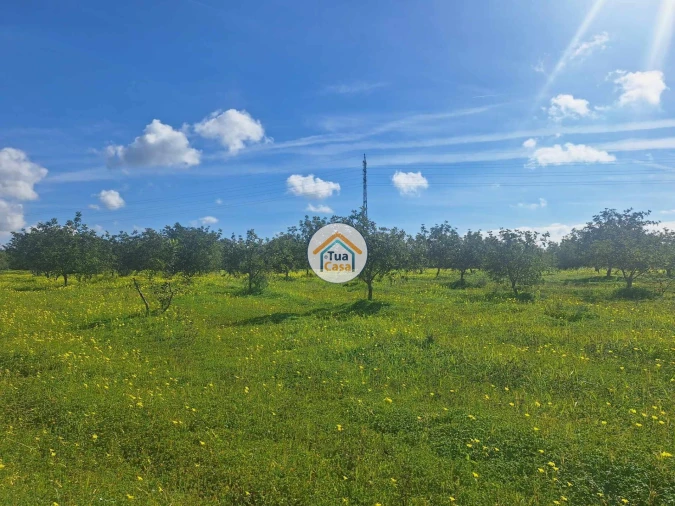 Terreno para Venda em Faro (Sé e São Pedro) Foto 17