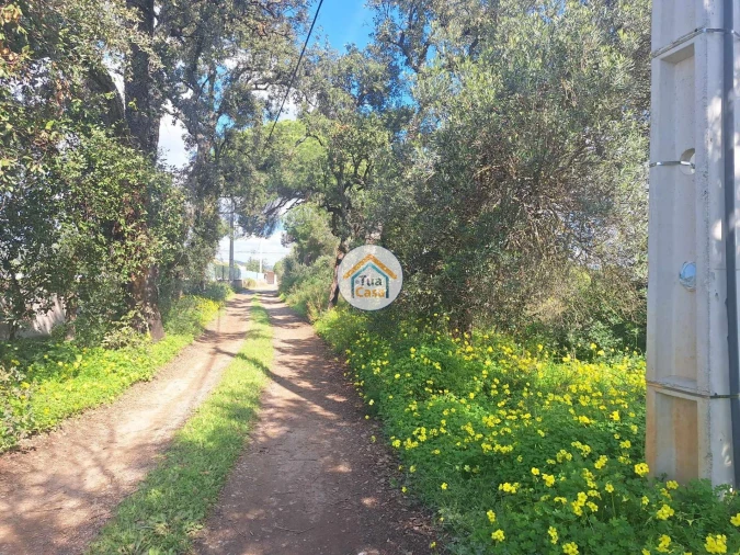 Terreno para Venda em Faro (Sé e São Pedro) Foto 23