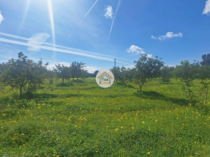 Terreno para Venda em Faro (Sé e São Pedro) Foto 2