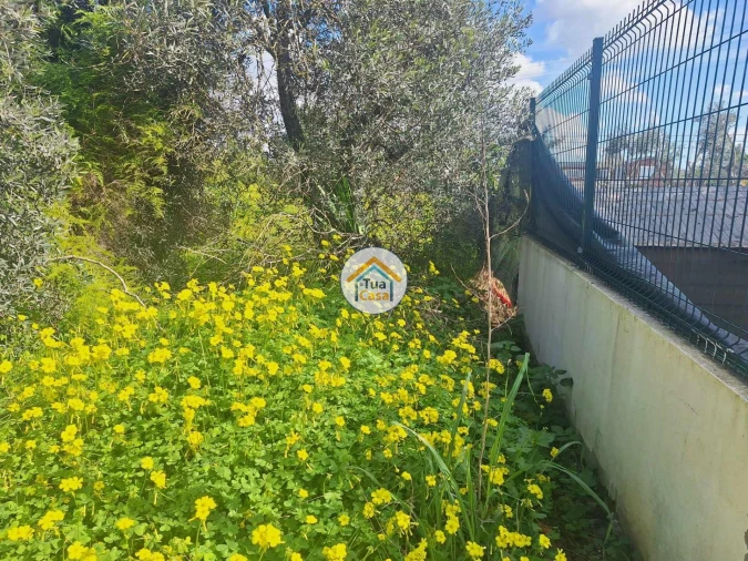 Terreno para Venda em Faro (Sé e São Pedro) Foto 14