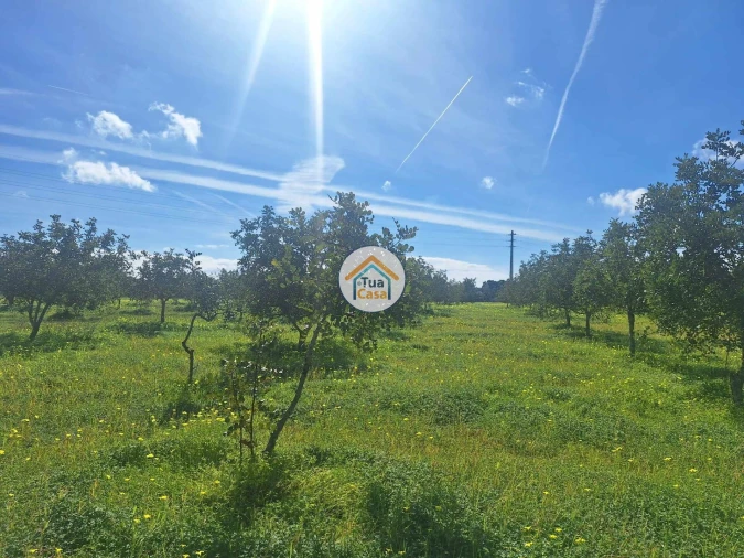 Terreno para Venda em Faro (Sé e São Pedro) Foto 29