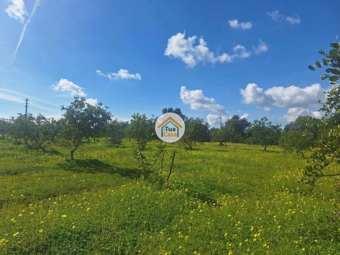 Terreno para Venda em Faro (Sé e São Pedro) Foto 7