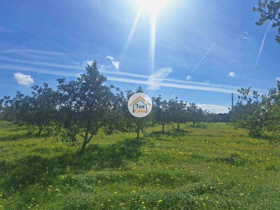 Terreno para Venda em Faro (Sé e São Pedro) Foto 1