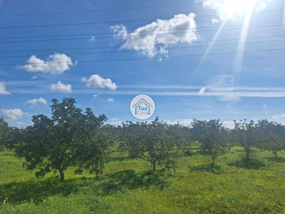 Terreno para Venda em Faro (Sé e São Pedro) Foto 9