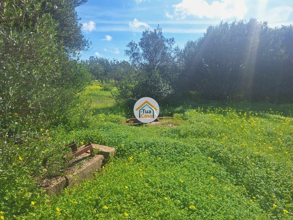 Terreno para Venda em Faro (Sé e São Pedro) Foto 18