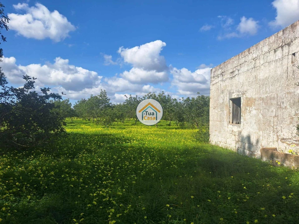 Terreno para Venda em Faro (Sé e São Pedro) Foto 26
