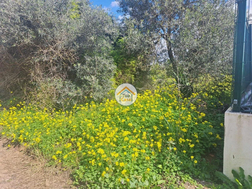 Terreno para Venda em Faro (Sé e São Pedro) Foto 24