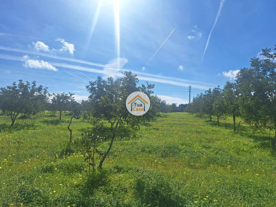 Terreno para Venda em Faro (Sé e São Pedro) Foto 29