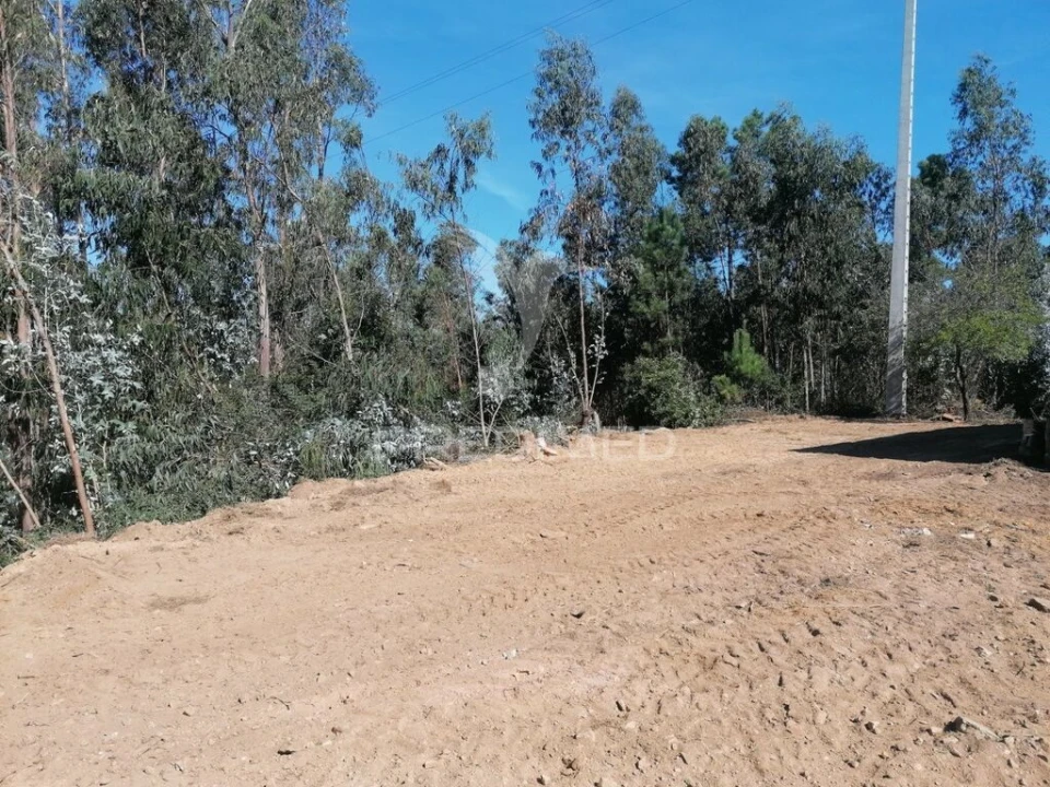 Terreno para Venda em Valongo do Vouga Foto 3