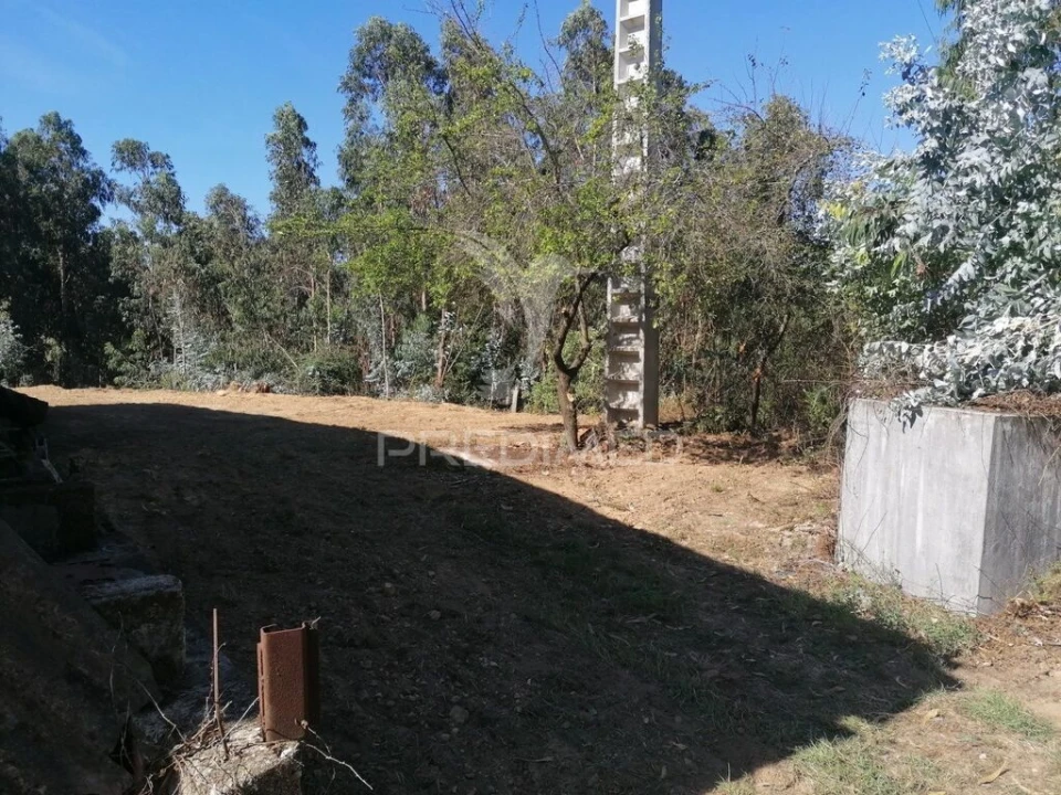 Terreno para Venda em Valongo do Vouga Foto 13