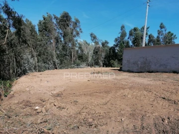 Terreno para Venda em Valongo do Vouga