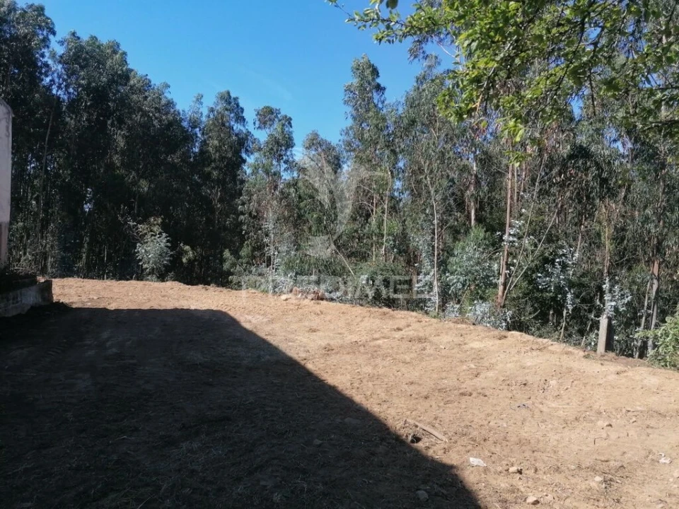 Terreno para Venda em Valongo do Vouga Foto 10