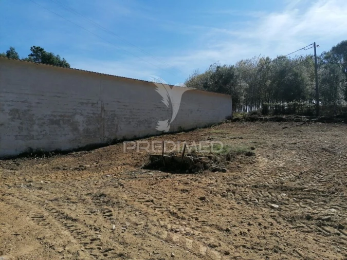 Terreno para Venda em Valongo do Vouga Foto 4