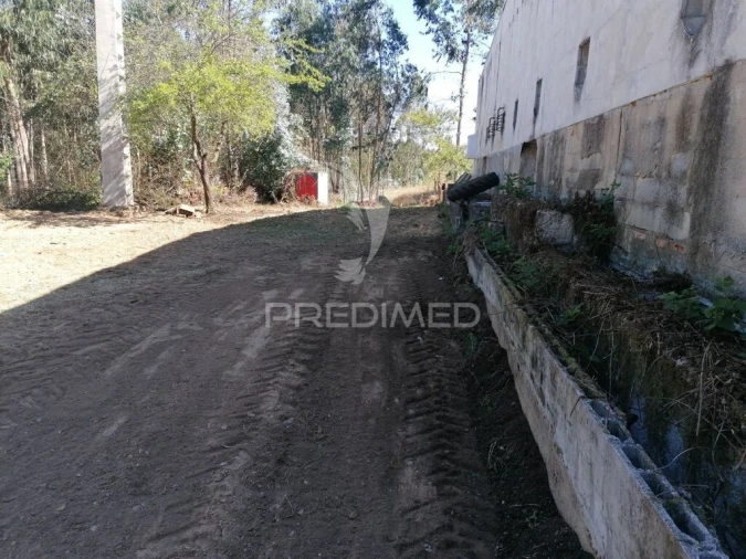 Terreno para Venda em Valongo do Vouga Foto 7