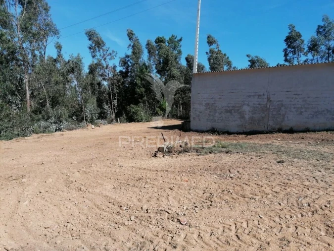 Terreno para Venda em Valongo do Vouga Foto 2