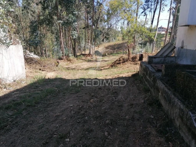 Terreno para Venda em Valongo do Vouga Foto 11