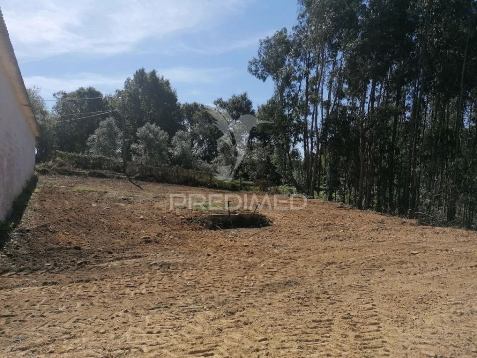 Terreno para Venda em Valongo do Vouga Foto 6