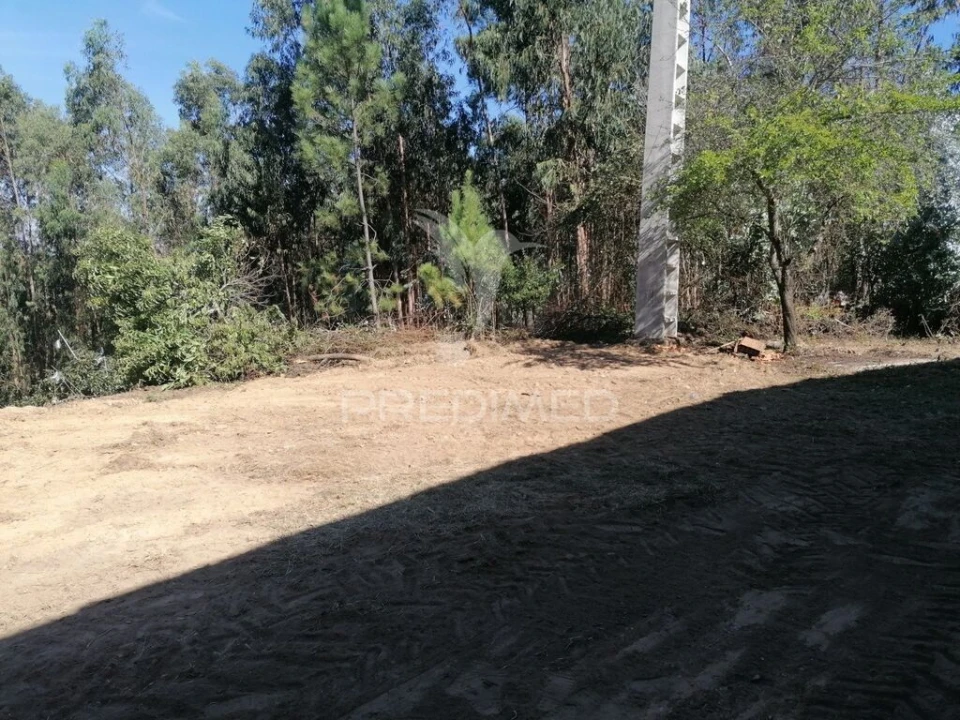 Terreno para Venda em Valongo do Vouga Foto 14