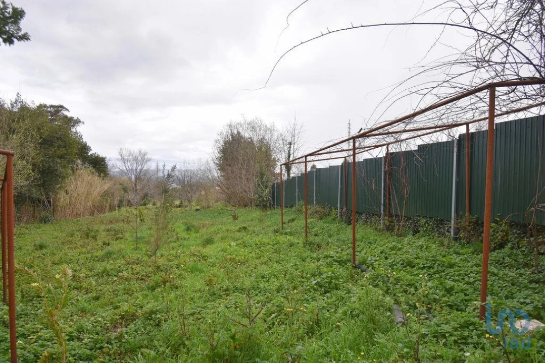 Terreno para Venda em Lousã e Vilarinho Foto 10