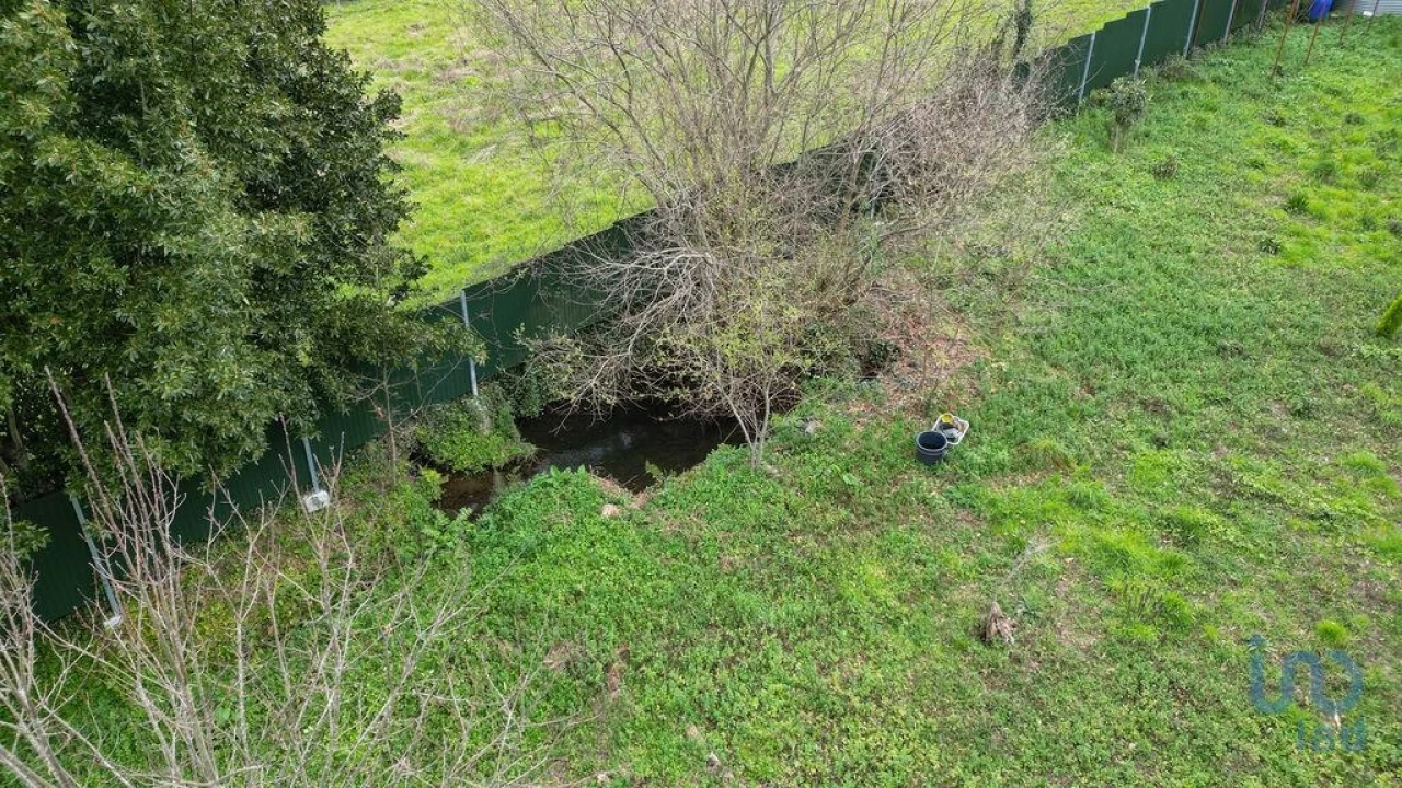 Terreno para Venda em Lousã e Vilarinho Foto 6