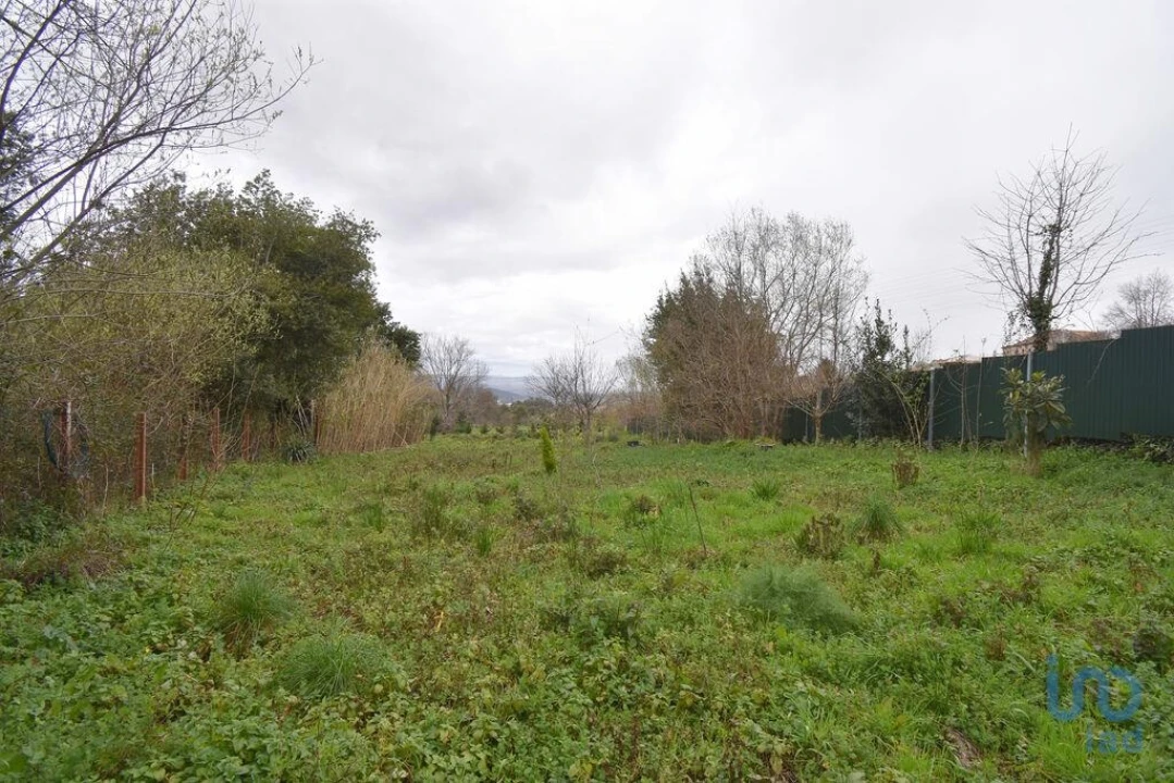 Terreno para Venda em Lousã e Vilarinho Foto 11
