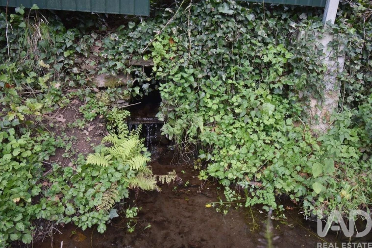 Terreno para Venda em Lousã e Vilarinho Foto 17