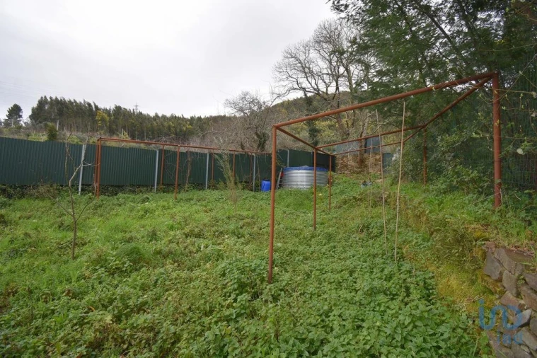 Terreno para Venda em Lousã e Vilarinho Foto 12