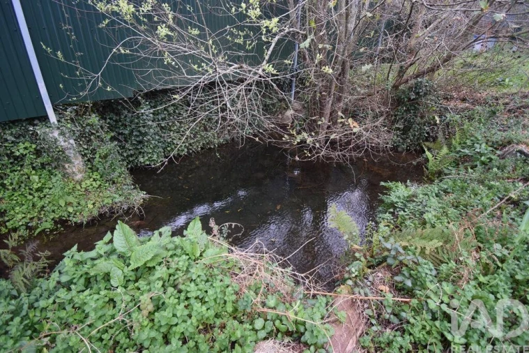 Terreno para Venda em Lousã e Vilarinho Foto 16