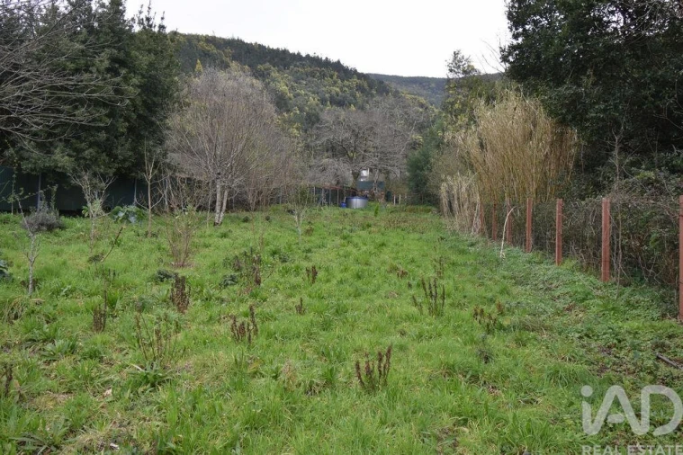 Terreno para Venda em Lousã e Vilarinho Foto 19