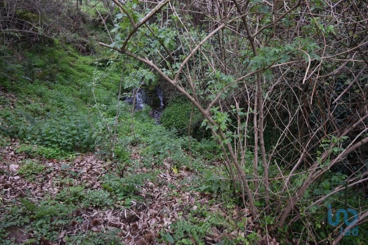 Terreno para Venda em Lousã e Vilarinho Foto 9