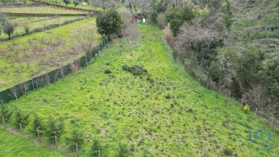 Terreno para Venda em Lousã e Vilarinho Foto 5