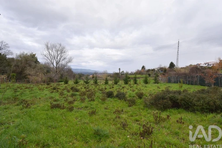 Terreno para Venda em Lousã e Vilarinho Foto 20