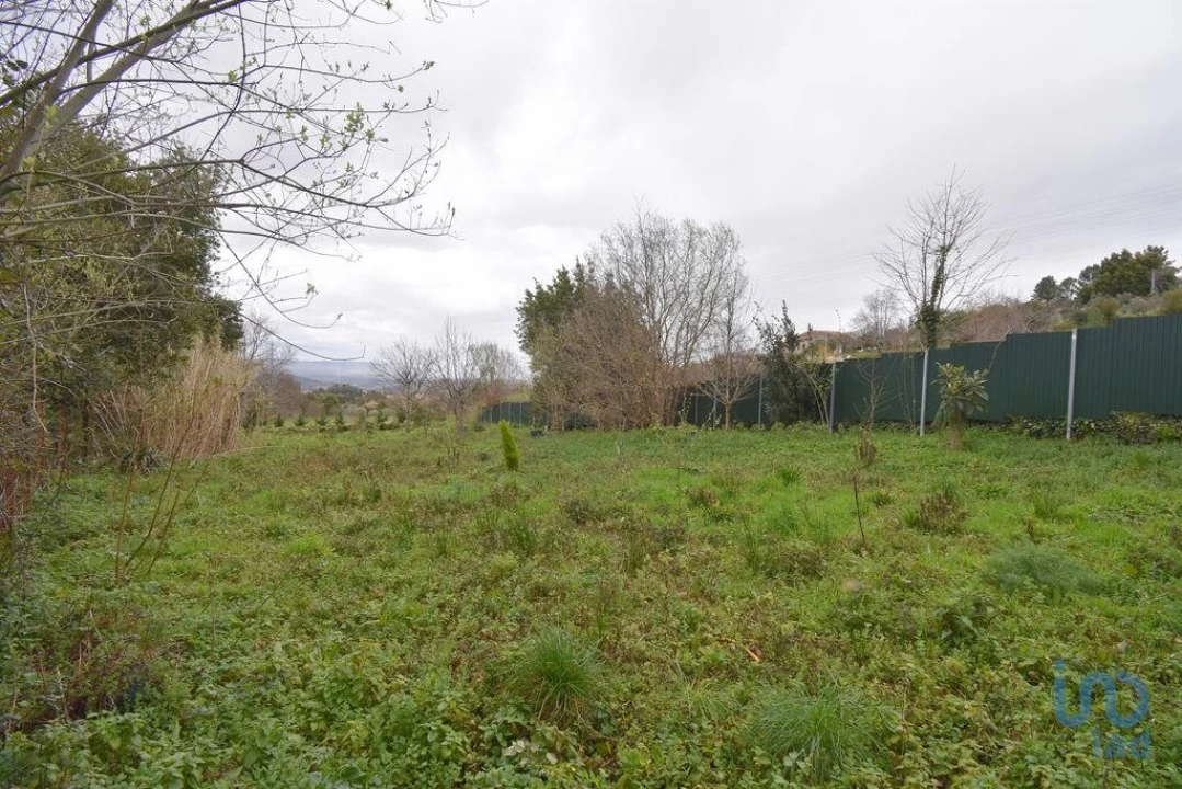 Terreno para Venda em Lousã e Vilarinho Foto 13