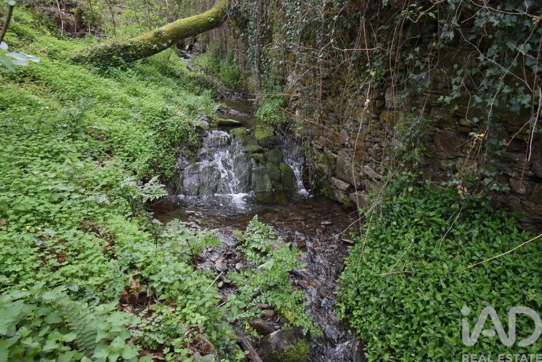 Terreno para Venda em Lousã e Vilarinho Foto 23