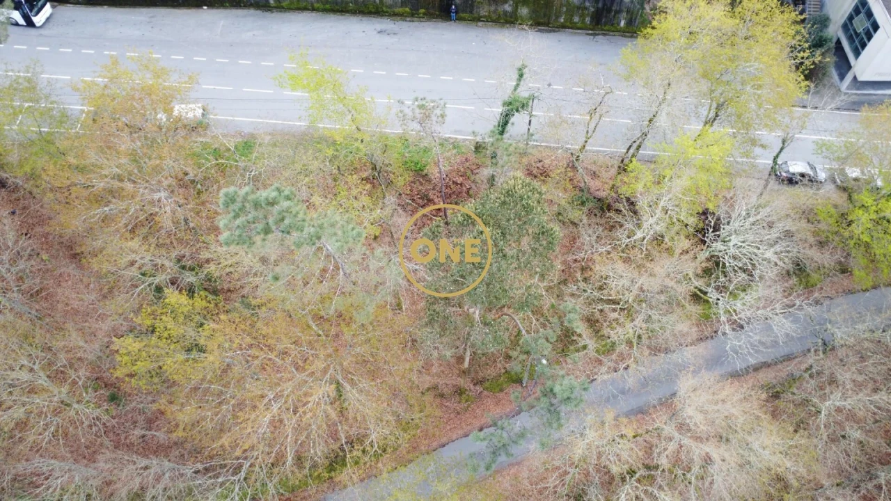 Terreno para Venda em Moimenta Foto 5