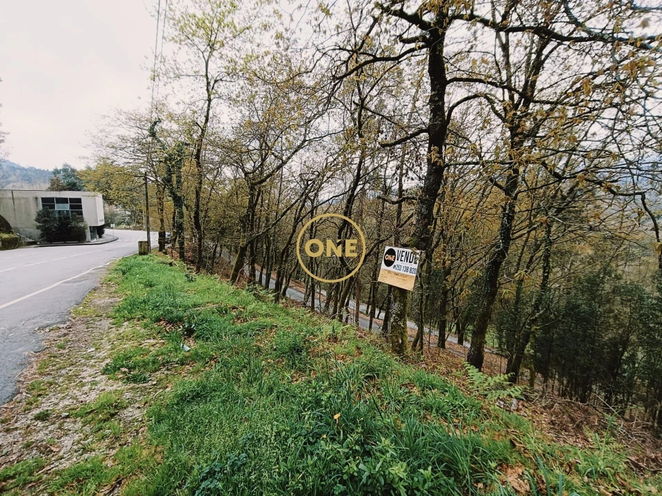 Terreno para Venda em Moimenta Foto 2