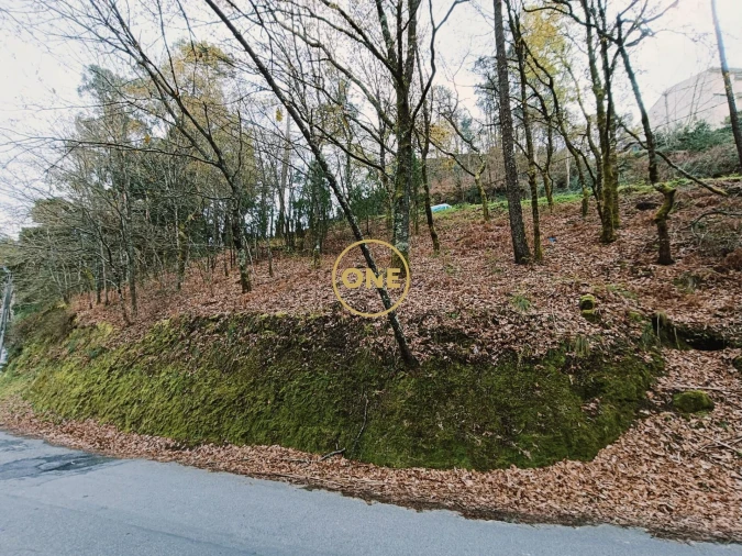 Terreno para Venda em Moimenta Foto 3