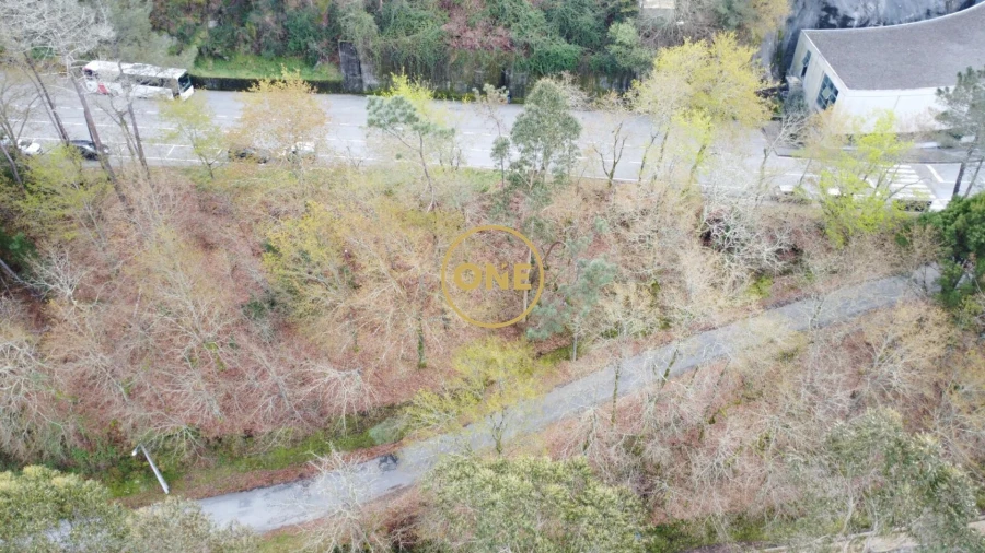 Terreno para Venda em Moimenta Foto 6