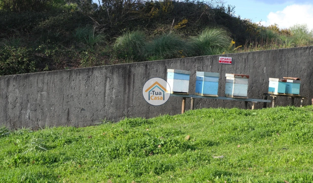 Terreno para Venda em Vila Nova de Famalicão e Calendário Foto 8