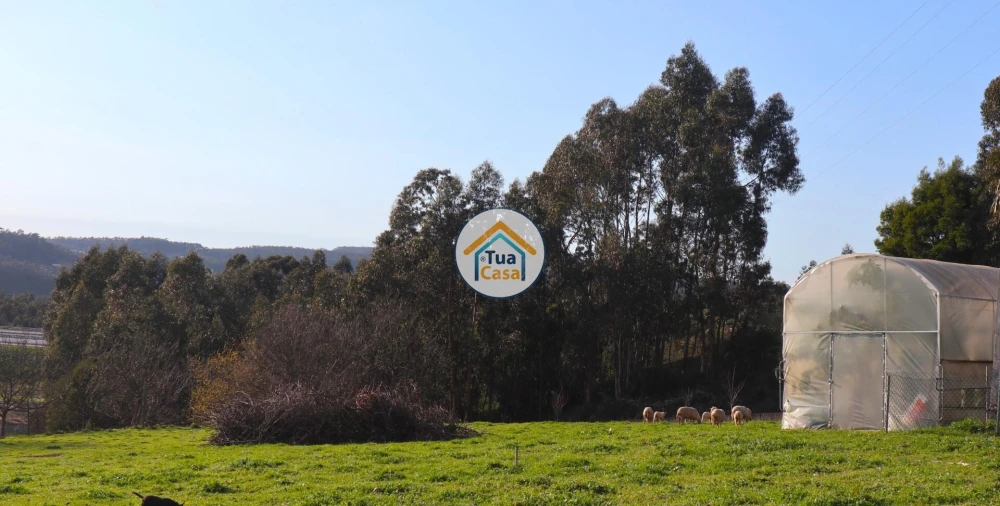 Terreno para Venda em Vila Nova de Famalicão e Calendário Foto 1