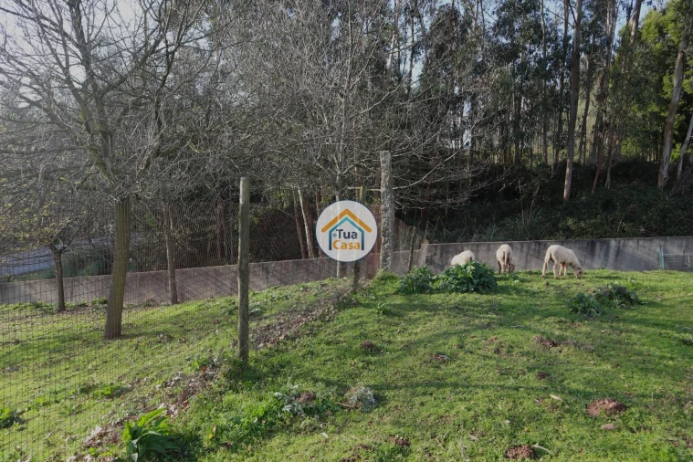 Terreno para Venda em Vila Nova de Famalicão e Calendário Foto 5