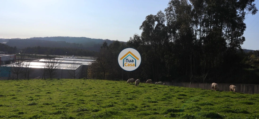 Terreno para Venda em Vila Nova de Famalicão e Calendário Foto 9
