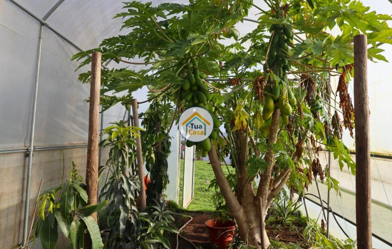 Terreno para Venda em Vila Nova de Famalicão e Calendário Foto 7