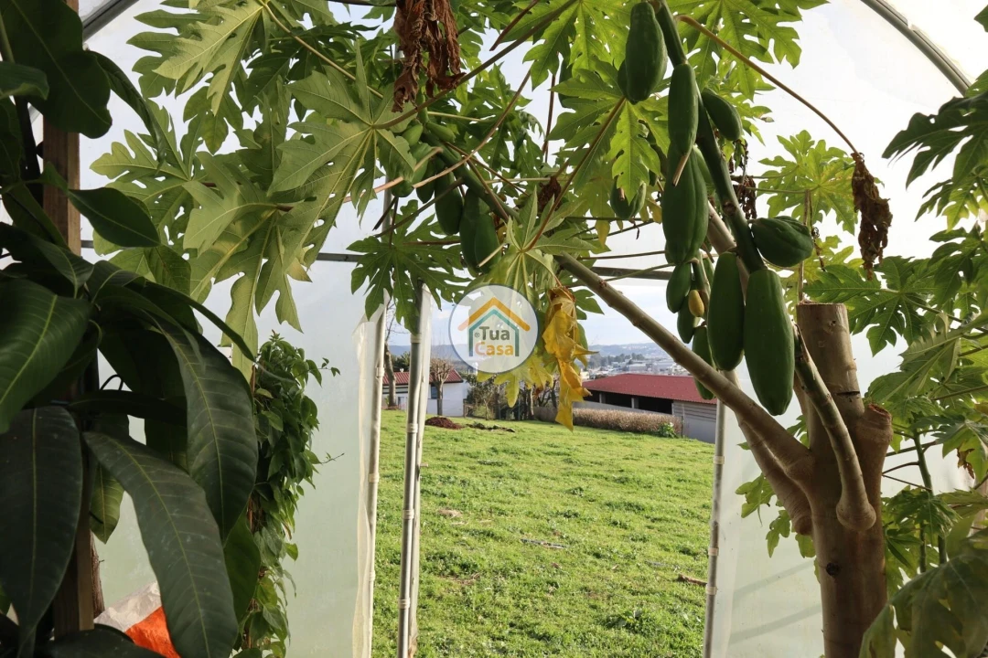 Terreno para Venda em Vila Nova de Famalicão e Calendário Foto 6