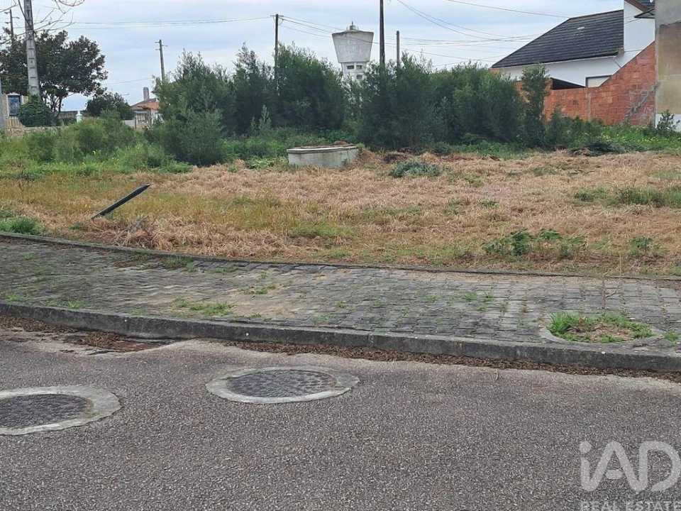 Terreno para Venda em Vieira de Leiria Foto 9